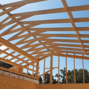 6_11 OBRA NUEVA 6_11 OBRA NUEVA